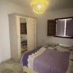 عذراء الزيتون